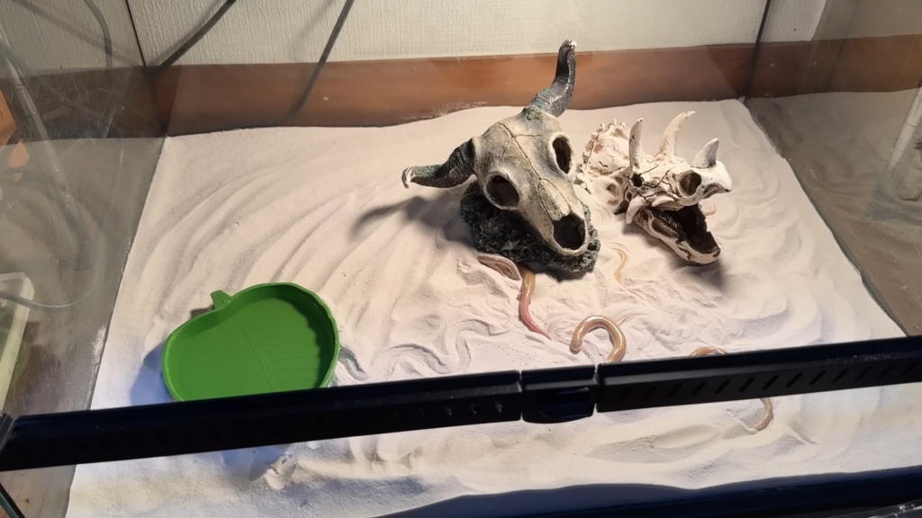 一旦このレイアウトで様子をみることに