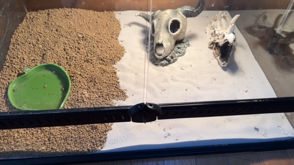 ホワイトサンドに加えて、赤玉土を敷きました