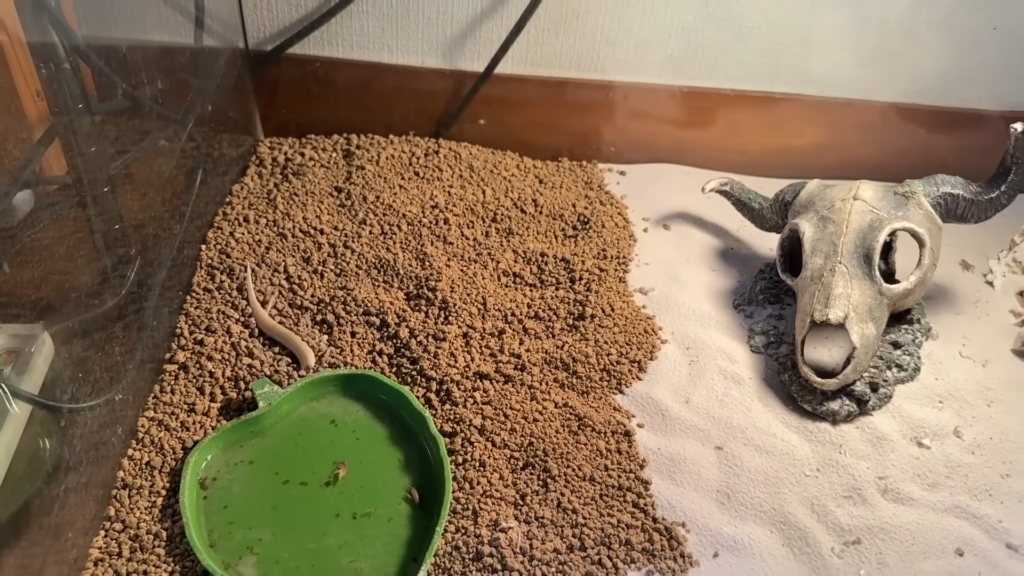 赤玉土にいる時間の方が長いかも……？という状態とのこと