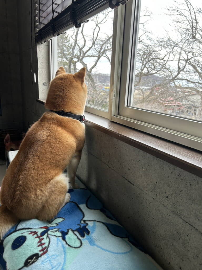 待っているのか……