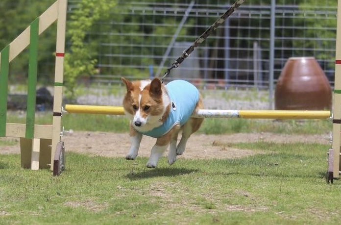 引っかかってた！