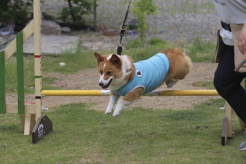 いい顔してる！