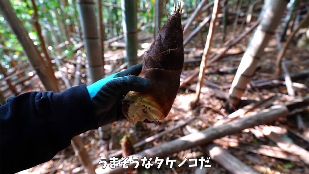 自分の分とお裾分けする分を収穫