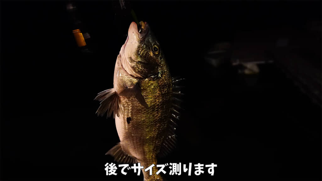 サイズは後で測ることに