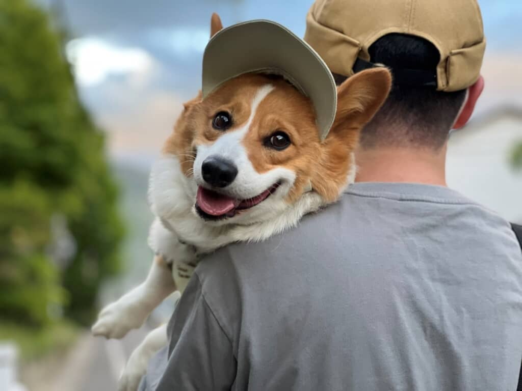 抱っこされてご機嫌