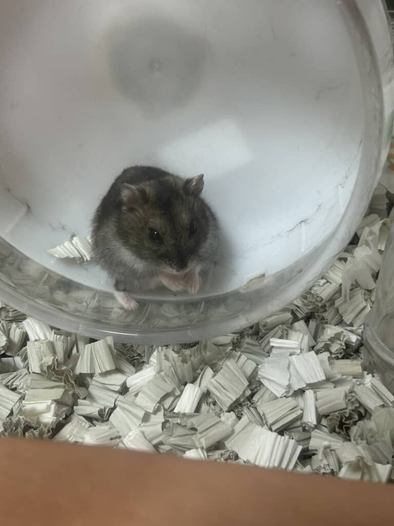 キュートなお顔！
