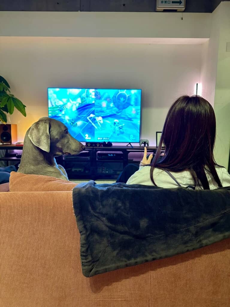 めっちゃ見てる……