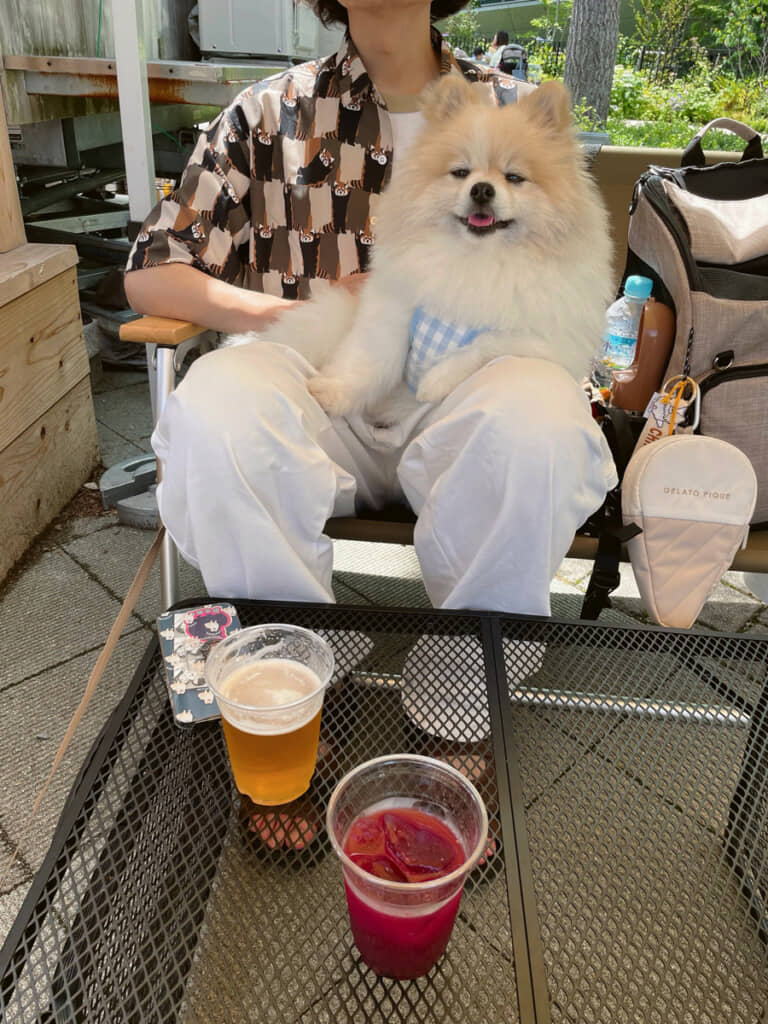 「ﾌｰﾝそれで最近どう？？？」