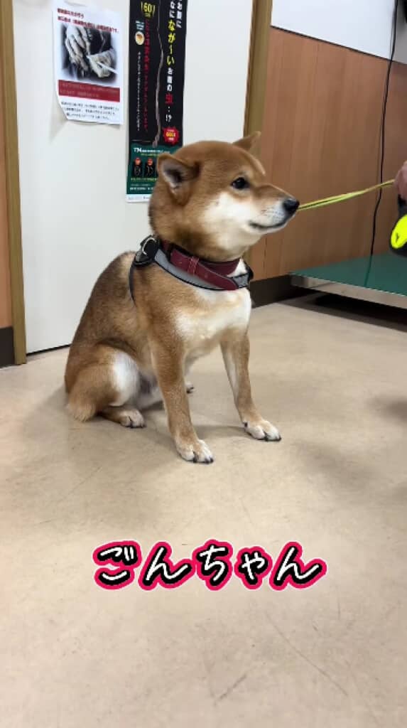 医院長さんは果敢に呼びかけます