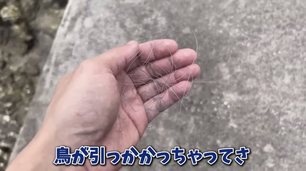 釣り用具の包装や釣り糸などのゴミも回収。こうした釣り糸に鳥がからまる事故がよく起こる