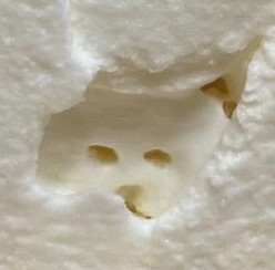 表情は固いです