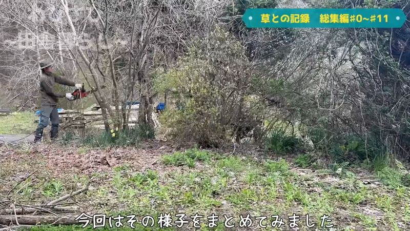 伸び放題になっている木を切る投稿者