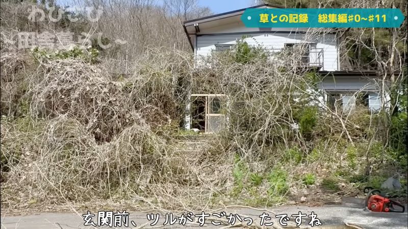 ツルによって玄関への道が阻まれている状態