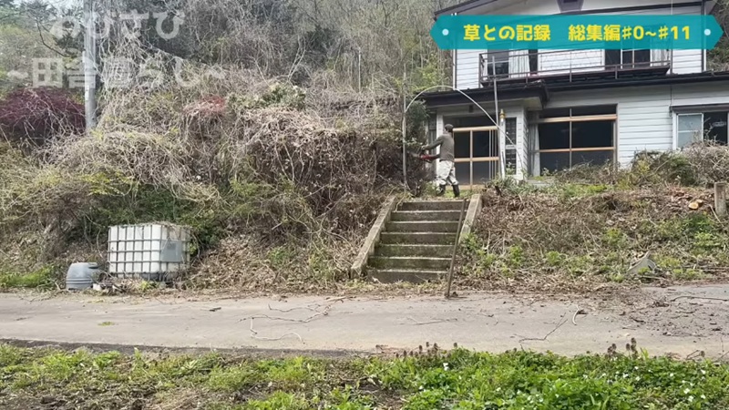 チェンソーでツルを切断