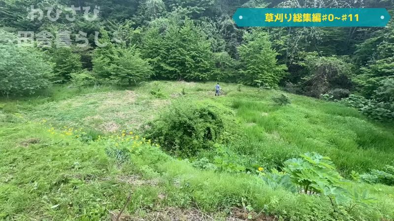 草刈り機と一緒に通ったところが道になっていく