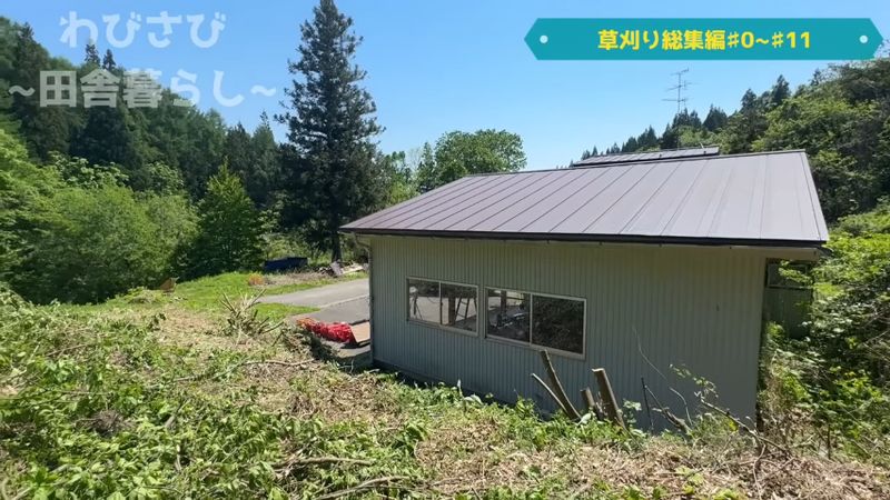 木がなくなりよく見えるようになったガレージの壁