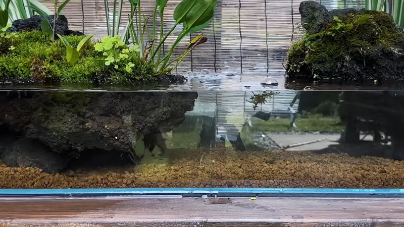 必要な物を配置した水槽に水をためていく