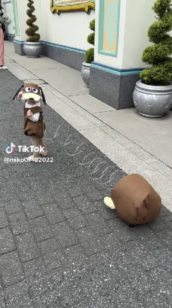 おしりが付いてきているか気になる様子