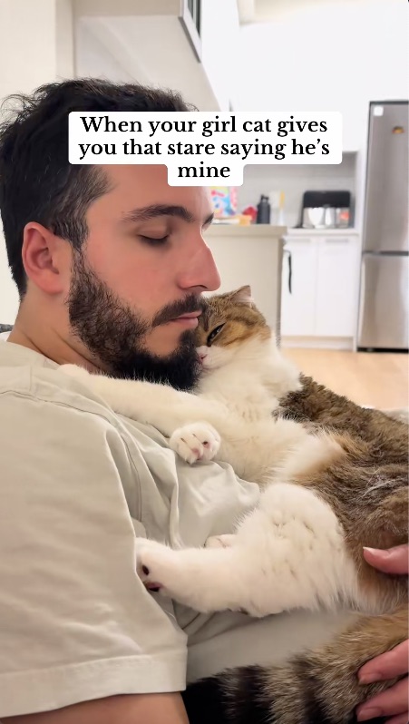 彼氏さんに抱っこされている猫