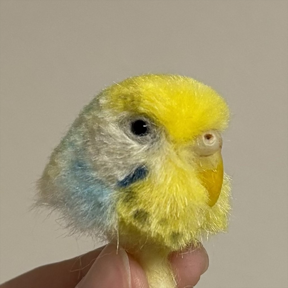 めちゃくちゃリアル