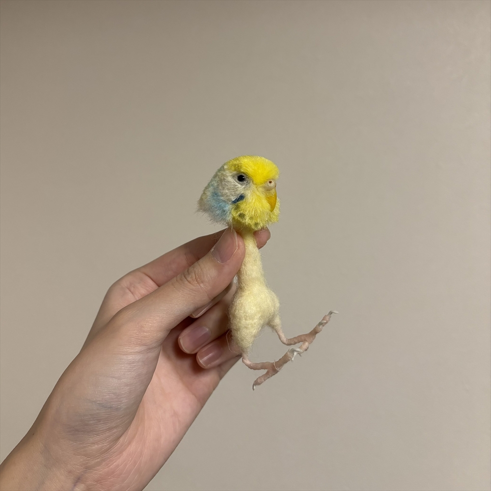これはビックリする……！