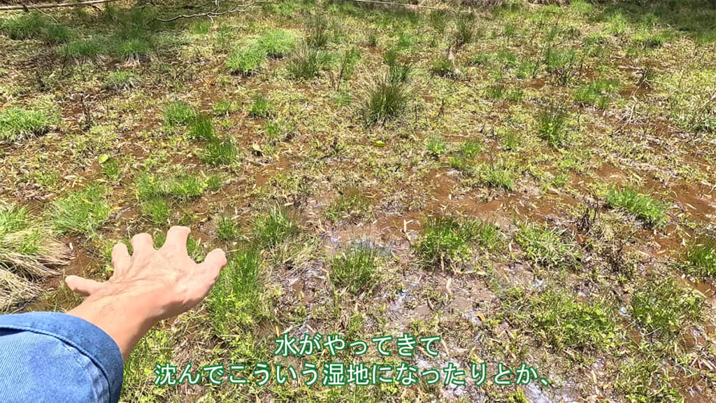 湿地帯はさまざまな要因で作られてきたのですね
