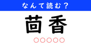 茴香