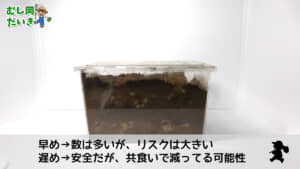 早め遅め