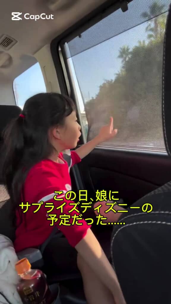 娘をサプライズでディズニーへ連れて行く計画