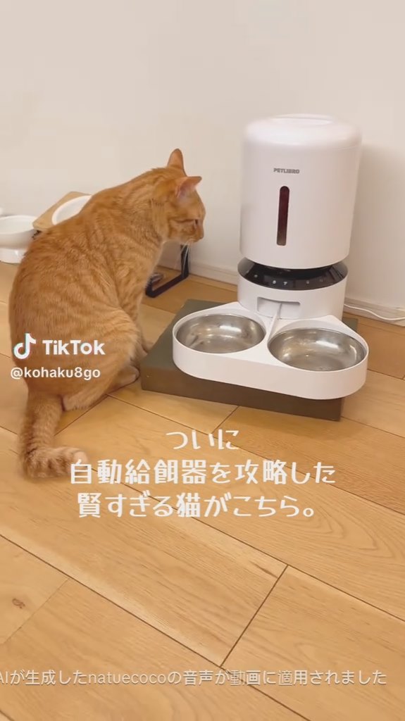 じっと見つめ……