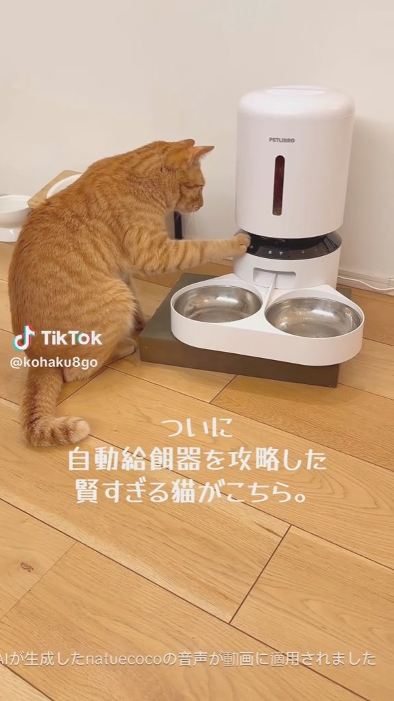 ぺたり