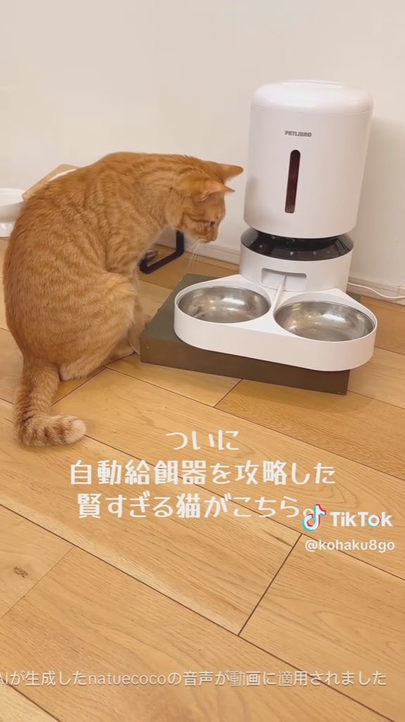 ごはんが出てきました！