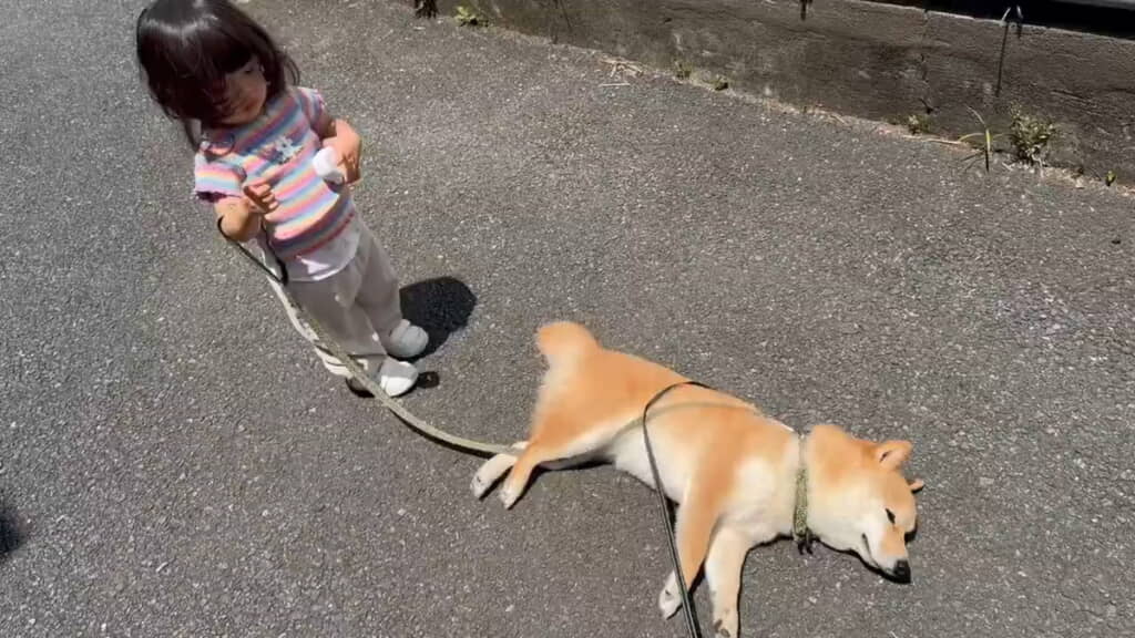 拒否柴発動！