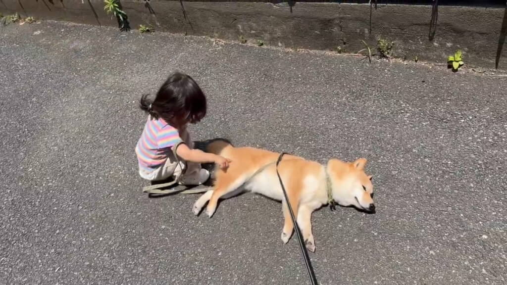 ツンツン……