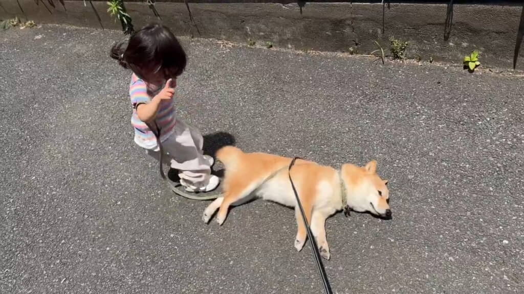 ピクリと耳を動かすも……