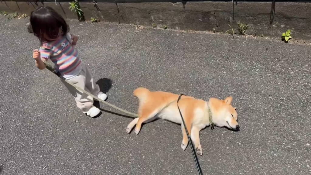やはり拒否続行