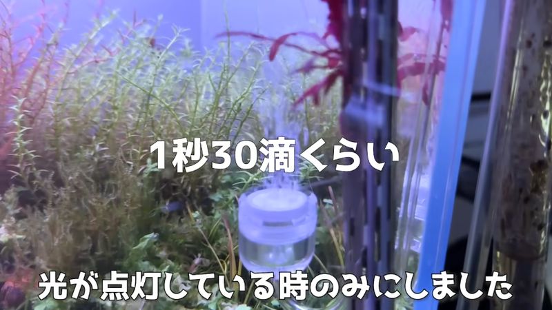 二酸化炭素を吹き込む様子