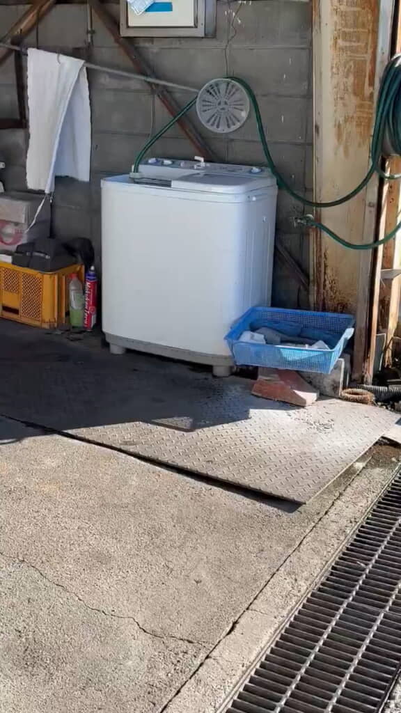 なんかドコドコ鳴ってる……！