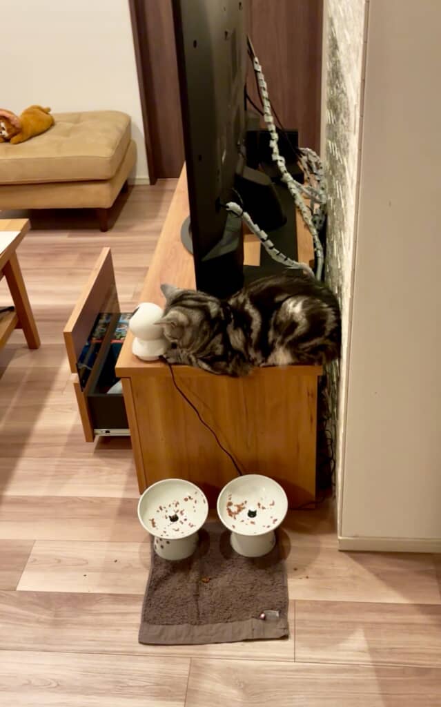 あんこくん発見！