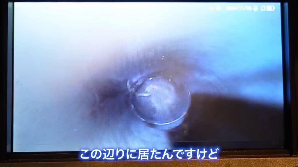 きれいさっぱり異物を除去！