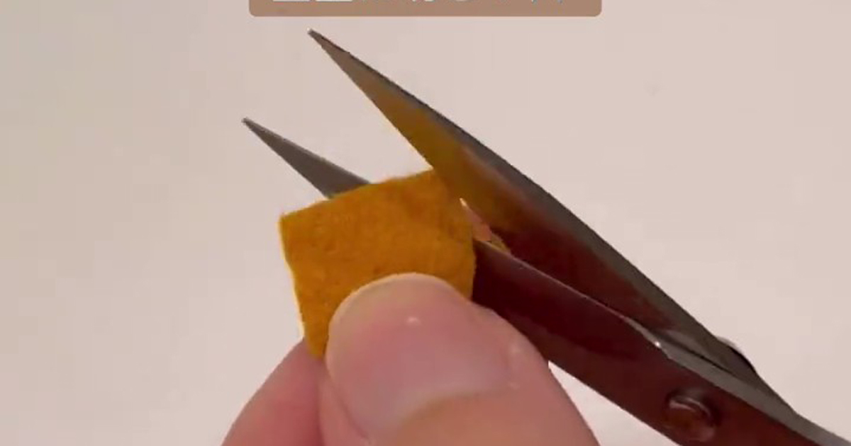 指先サイズの“フェルトの切れ端”→コツコツ縫ったら……「まさかのまさか!!」　想像を超える完成品に「すごすぎて意味分からん」（1/2） | ライフスタイル ねとらぼ