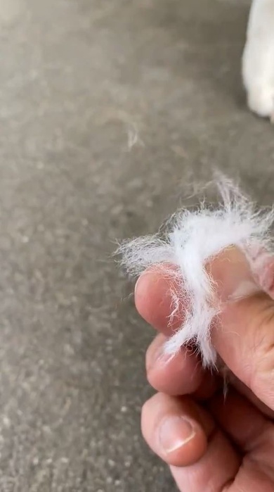 風に飛んでいきました