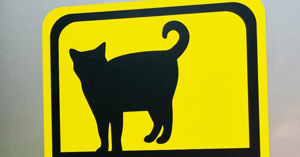 車の後ろに貼られた“猫ステッカー”→思わずツッコミたくなる一言に「なんか笑った」「無条件にほっこりします」