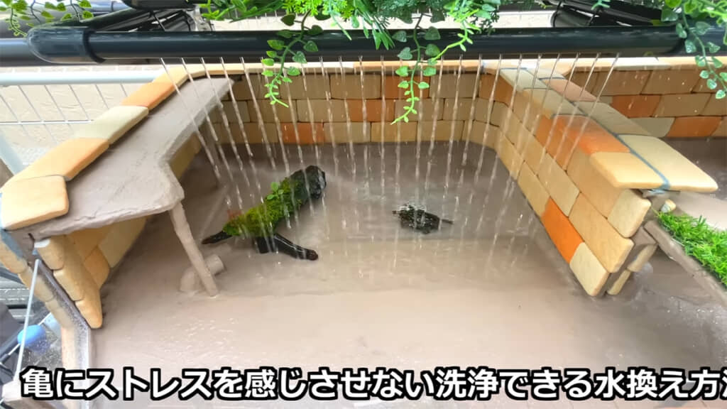 カメにも人にもやさしい亀池です