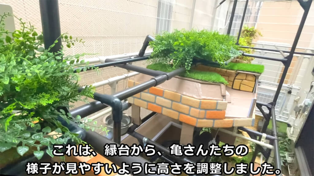 カメたちの様子が確認しやすく、お客さんも見やすい高さです