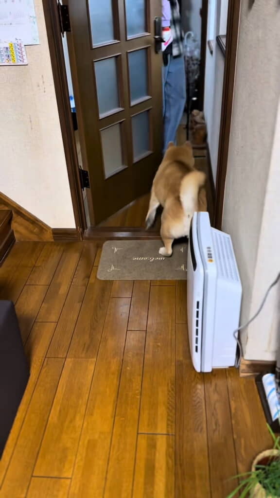 いよいよ再会のとき……！