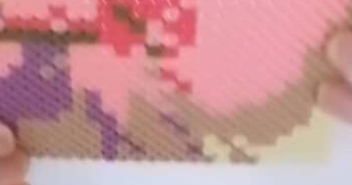 4万5414粒のアイロンビーズで作ったのは……　圧巻の完成品に「言葉が出ません」「尾田栄一郎に見せたい」 | ライフスタイル ねとらぼ