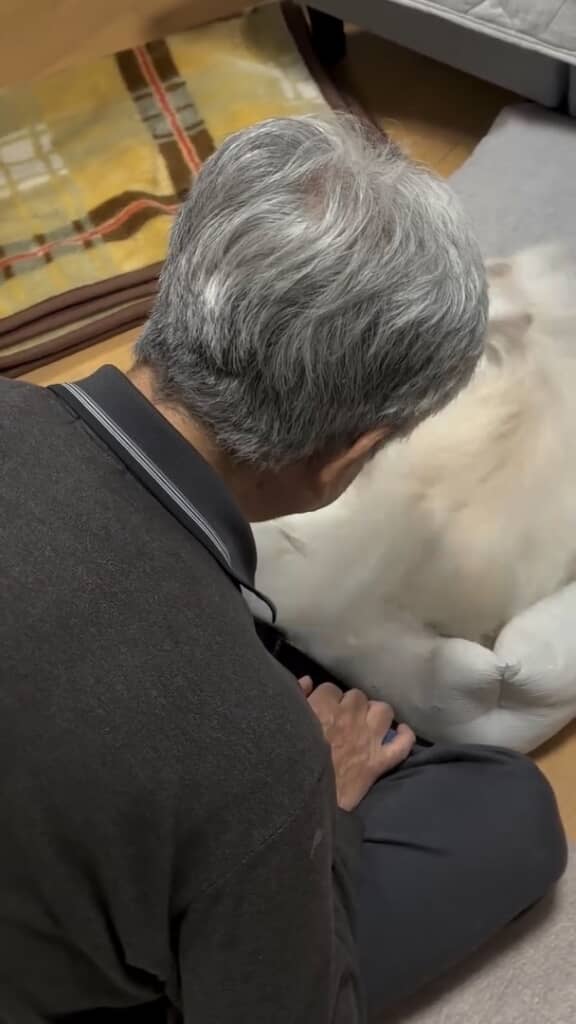 その場でくるくる回る犬