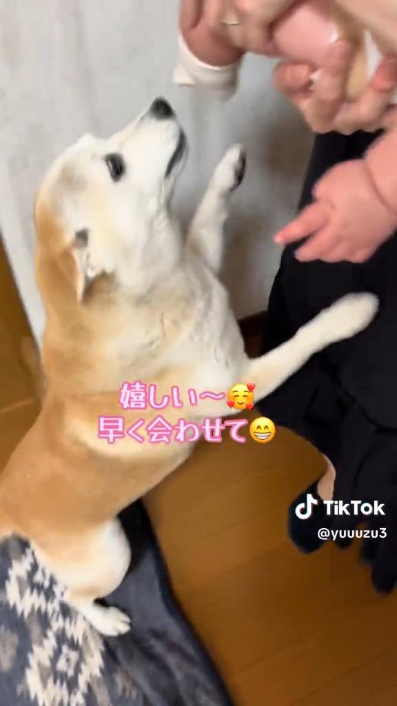 赤ちゃんに早く会わせて～