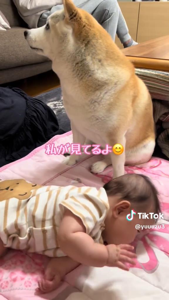 ゆずちゃん「私が見てるよ」